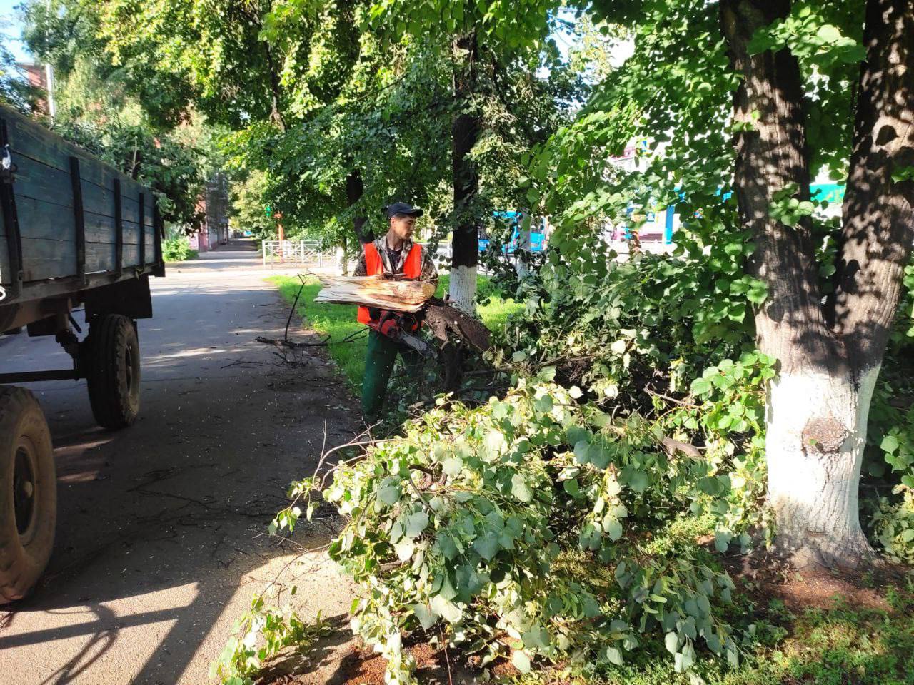 В городские службы Кемерова поступило 110 сообщений жителей о рухнувших деревьях во время ветра