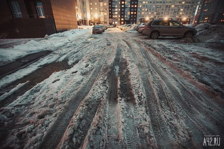 Фото: Вонь-атака и люди-свиньи: чем были возмущены кемеровчане в 2017 году 1