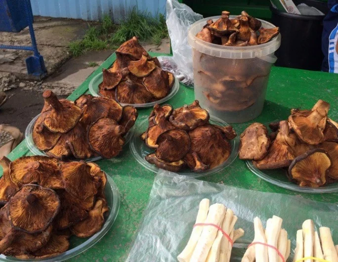 Фото: Кемеровчан предупреждают о ядовитых грибах на уличных базарах 2