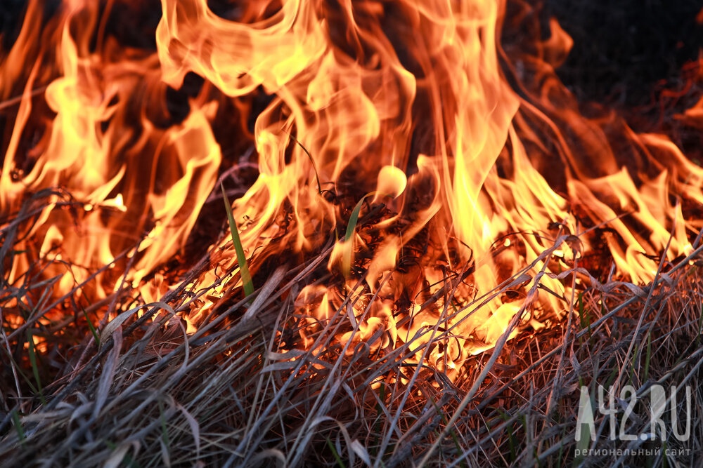 За сутки пожарные Кузбасса 74 раза тушили загоревшуюся траву