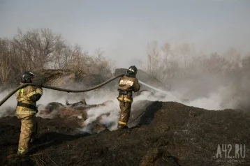 Фото: За сутки в Кузбассе произошло два лесных пожара 1