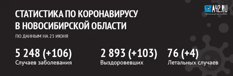 Фото: Коронавирус в Новосибирской области: актуальная информация на 23 июня 1