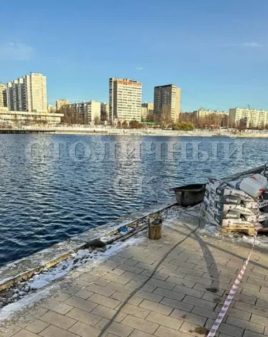 В Москве в пруду нашли рюкзак с головой ребёнка