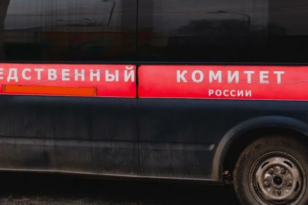 СК: В четырёх российских регионах задержали подростков, планировавших теракты