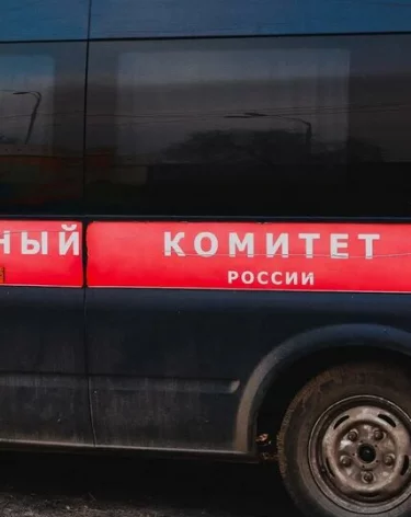 СК: В четырёх российских регионах задержали подростков, планировавших теракты