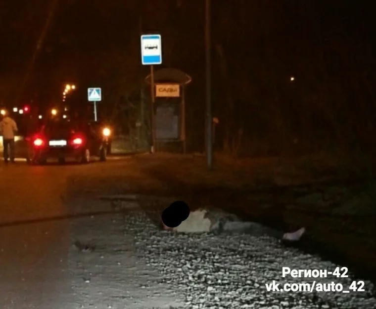 Фото: Ночью в Кемерове автомобиль насмерть сбил пешехода 2
