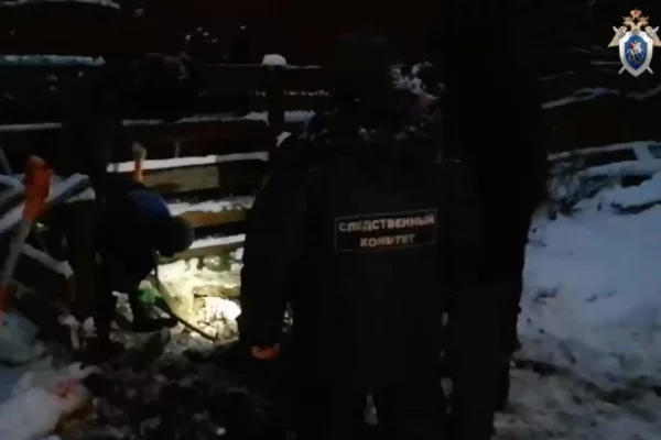 Сын «богородского маньяка» помог раскрыть убийства своих нянь