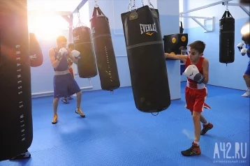 Фото: В Кемерове открыли региональный центр подготовки по боксу 3