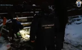 Сын «богородского маньяка» помог раскрыть убийства своих нянь