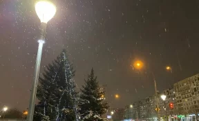 В Кузбассе в канун Рождества потеплеет до +1 и пойдёт мокрый снег