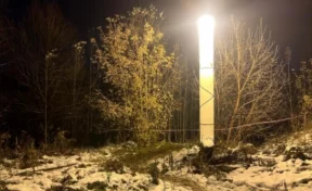 В Барнауле скрывшая от родителей свою беременность подросток убила младенца