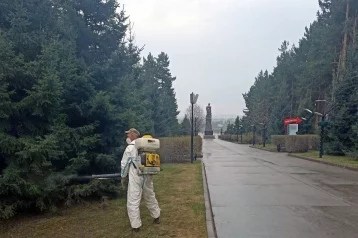 Фото: В Кемерове 55 общественных мест обработали против клещей 1