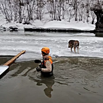 Фото: Кузбассовцы спасли собаку на льдине 1