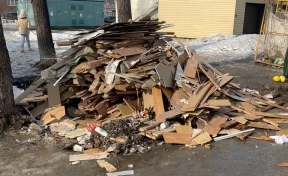 Мэра кузбасского города вновь возмутила свалка строительного мусора