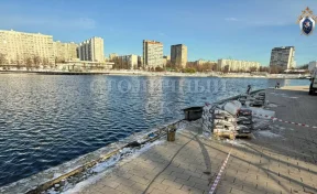 В Москве в пруду нашли рюкзак с головой ребёнка