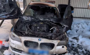 В Санкт-Петербурге 15-летний иностранец поджёг полицейский автомобиль