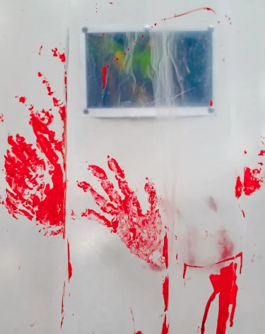 СК: в Кузбассе 14-летняя девочка вместе с приятелем зарезала собственную мать