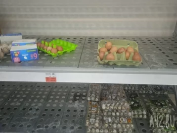 Фото: ФАС возбудила дело на две кузбасские птицефабрики из-за удержания высоких цен на яйца 1