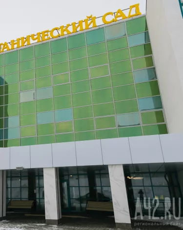 Кемеровчанка пожаловалась на неудобную остановку у Ботанического сада