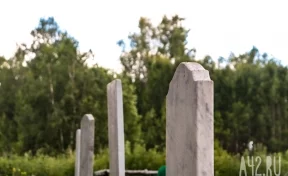В Кузбассе следы медведей заметили на могилах бойцов СВО