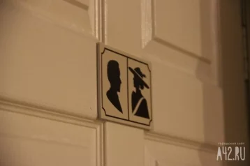 Фото: В Воронеже мужчина пытался надругаться над школьницей в женском туалете ТЦ 1