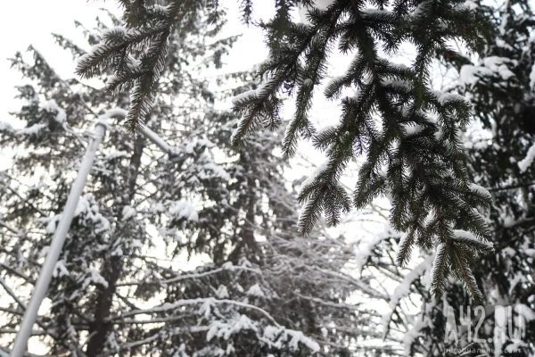 Агафий Полухлебник: народные приметы на 5 февраля