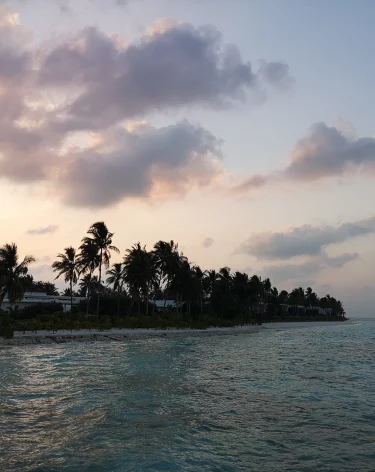 Россия объявила в розыск арестованного в Таиланде 35-летнего «хакера мирового класса»