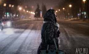 Последняя неделя года начнётся для кузбассовцев со снегопада и метели