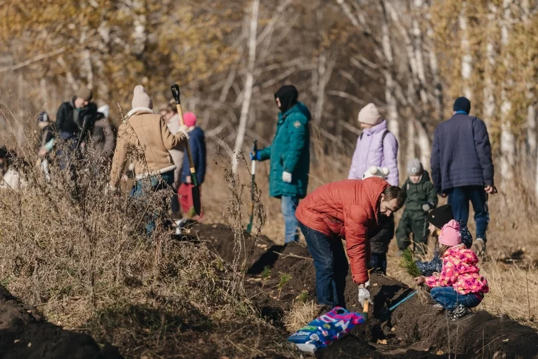 Фото: 10 000 новых деревьев в Новокузнецке: как прошёл масштабный экопраздник от Goodline 7