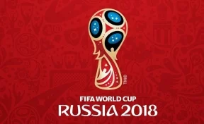 Рестораны и пивной магазин в Кузбассе ответят за использование символики FIFA-2018