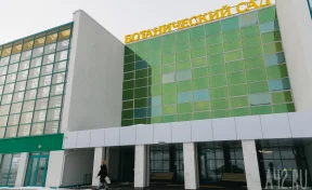 Кемеровчанка пожаловалась на неудобную остановку у Ботанического сада