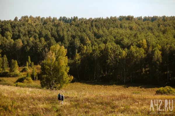 В Кузбассе за месяц пятерых пропавших без вести нашли погибшими