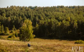 В Кузбассе за месяц пятерых пропавших без вести нашли погибшими