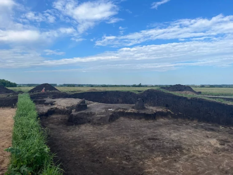 Фото: Самый древний янтарь России, мини-стоунхендж Алчедата и хищный ящер Киякурсор: что раскопали археологи в Кузбассе 5