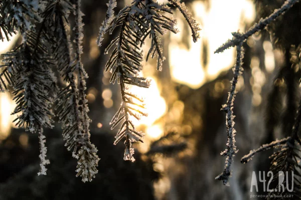Синоптики предупредили о похолодании до -41 в Кузбассе