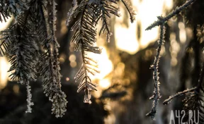 Синоптики предупредили о похолодании до -41 в Кузбассе