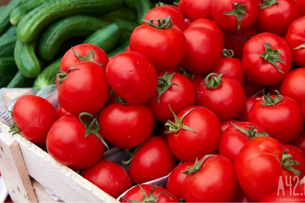 Кемеровостат: в Кузбассе помидоры за неделю подорожали на 14%