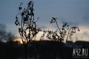 Фото: Захар Серповидец: народные приметы на 21 февраля 1
