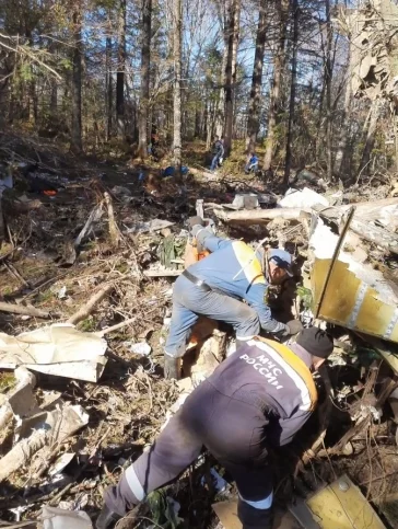 Фото: Все погибли: спасатели завершили работы на месте крушения Ан-26 под Хабаровском 2