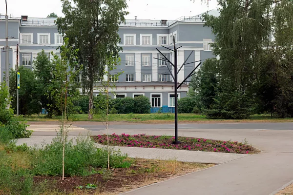 В Кемерове в сквере у школы искусств «высадили» светящееся дерево