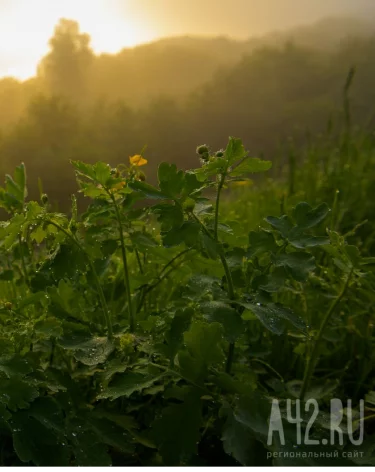 Фото: A42.RU