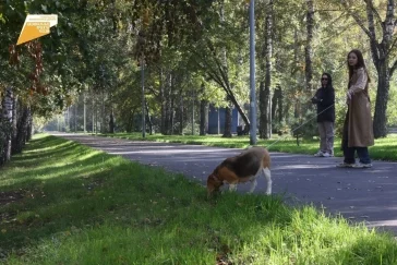 Фото: В Кемерове завершился ремонт Коммунистической улицы 5