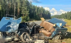 В Карелии в ДТП погибли 2 человека, пострадали 11-летняя девочка и женщина