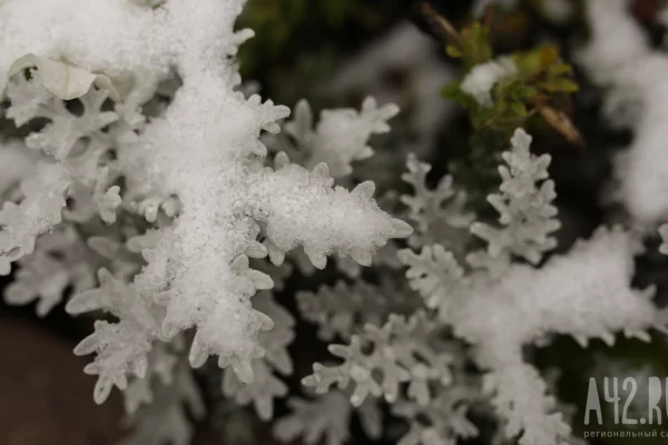 До -7 и снежно: синоптики дали прогноз на первые выходные октября в Кузбассе