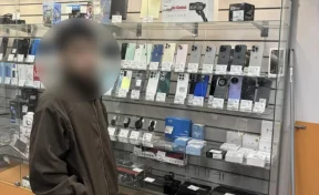 Житель Оренбурга украл сейф с деньгами из квартиры возлюбленной и уехал в Москву