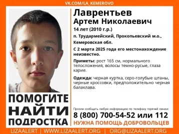 Фото: В Кузбассе объявили поиски без вести пропавшего 14-летнего подростка 1