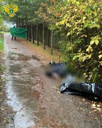 Фото: В Москве на улице нашли тело женщины с раной на шее  1