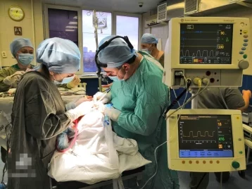 Фото:  Хирурги извлекли из желудка 16-летней россиянки огромный ком волос 1