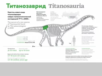 Фото: Гигантский динозавр из Кузбасса станет звездой «Ночи в музее» в Томске 1