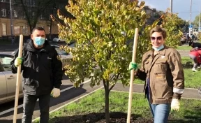 Мэр Новокузнецка позвал горожан на посадку деревьев на проспекте Металлургов